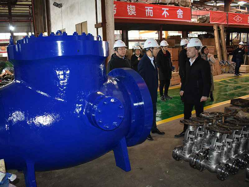 苗市长走访宝威官方版网站登录入口-宝威(中国)集团